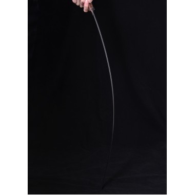 Hochmittelalter Ritterschwert mit Scheide