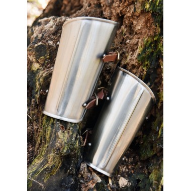 Armschienen aus Stahl