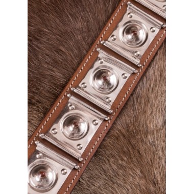 Rheingönheim Cingulum - Römischer Gürtel