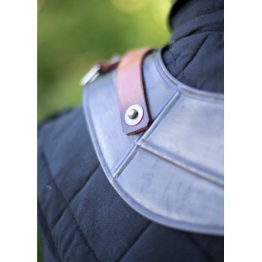 Ringkragen Dark Drake 