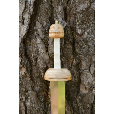 Pompeji Gladius mit Scheide