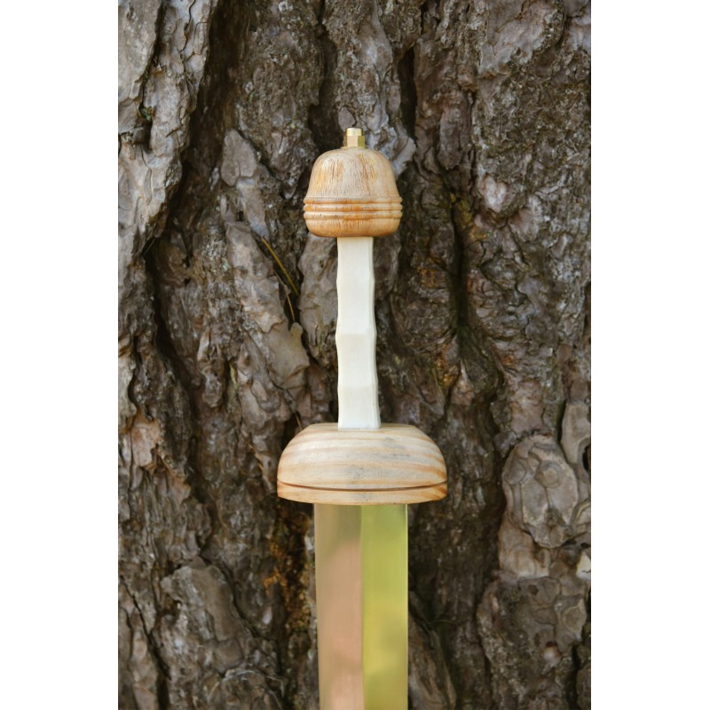 Pompeji Gladius mit Scheide