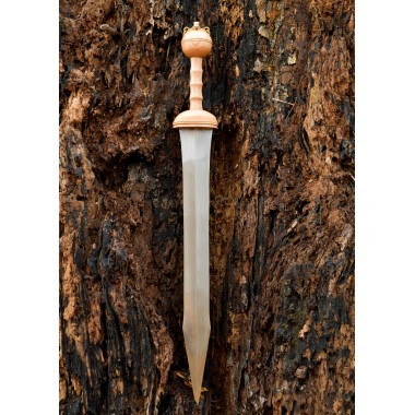 Gladius von Dubravica, Römisches Schwert mit Scheide