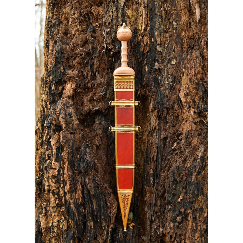 Gladius von Dubravica, Römisches Schwert mit Scheide