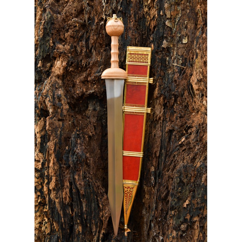 Gladius von Dubravica, Römisches Schwert mit Scheide