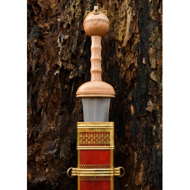 Gladius von Dubravica, Römisches Schwert mit Scheide