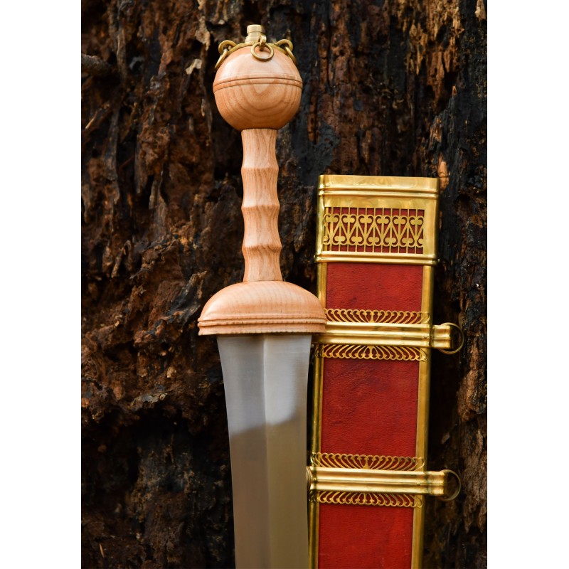 Gladius von Dubravica, Römisches Schwert mit Scheide