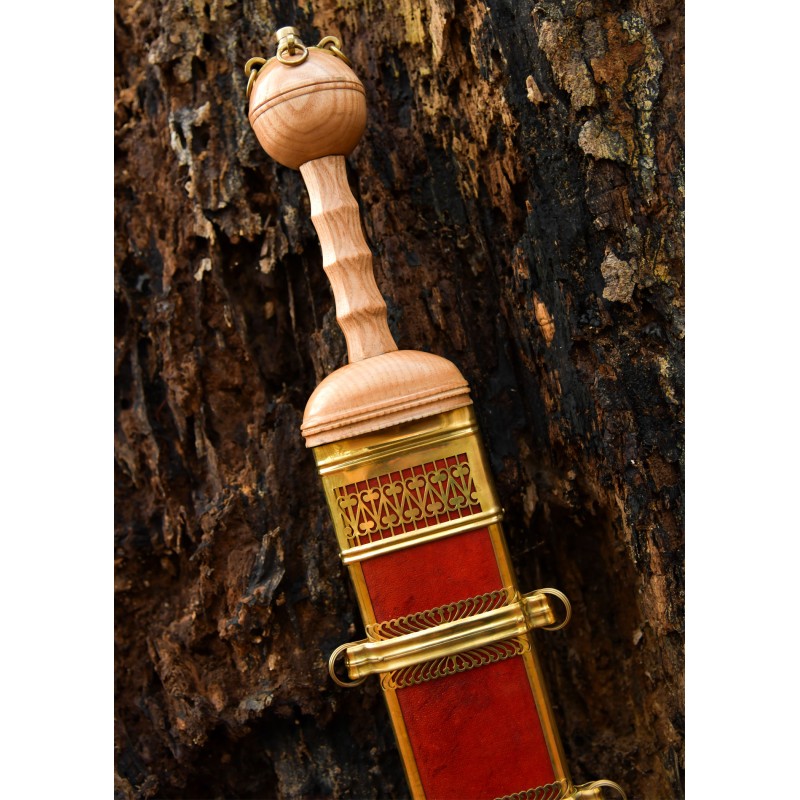 Gladius von Dubravica, Römisches Schwert mit Scheide