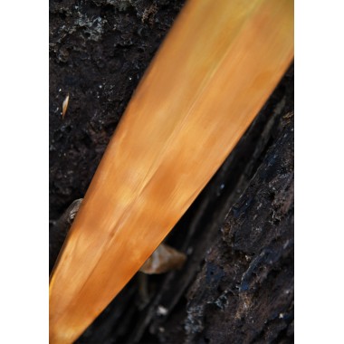 Keltisches schwert aus Bronze