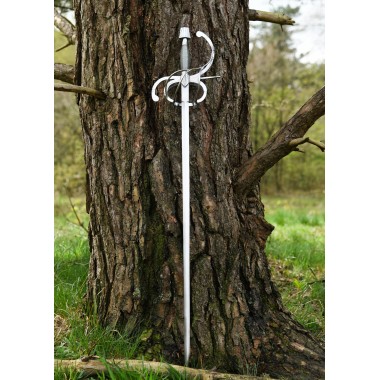 Renaissance Rapier mit geschwungenem Parier