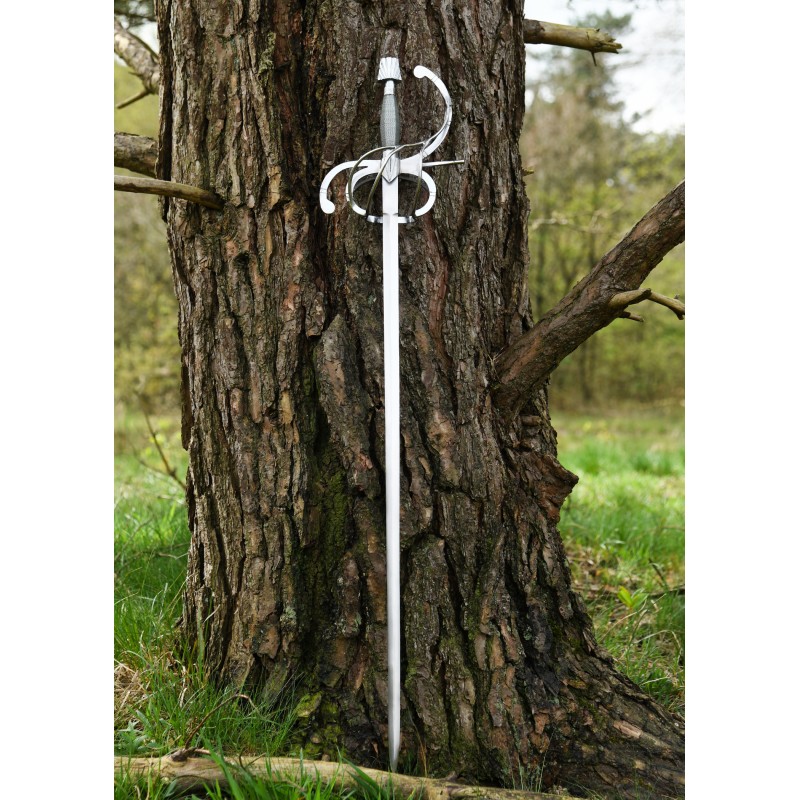 Renaissance Rapier mit geschwungenem Parier