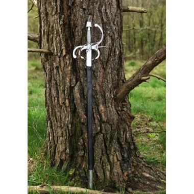 Renaissance Rapier mit geschwungenem Parier