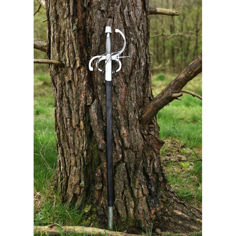 Renaissance Rapier mit geschwungenem Parier