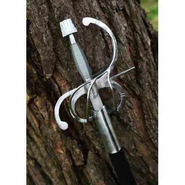 Renaissance Rapier mit geschwungenem Parier