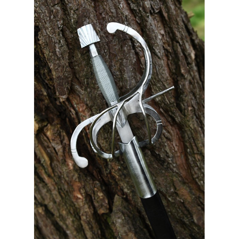 Renaissance Rapier mit geschwungenem Parier