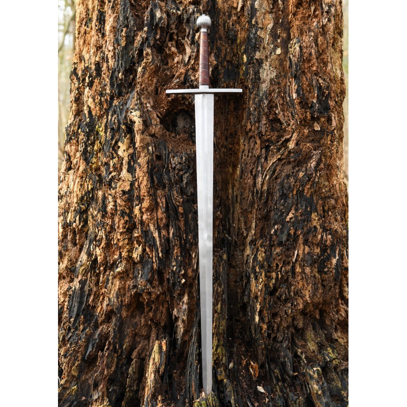 Langes Schwert mit Scheide