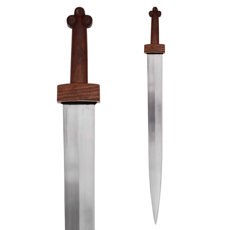 Republikanisches Gladius