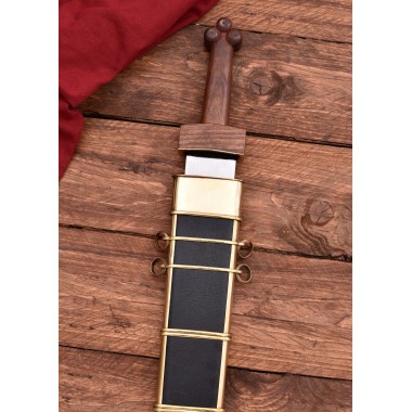 Republikanisches Gladius