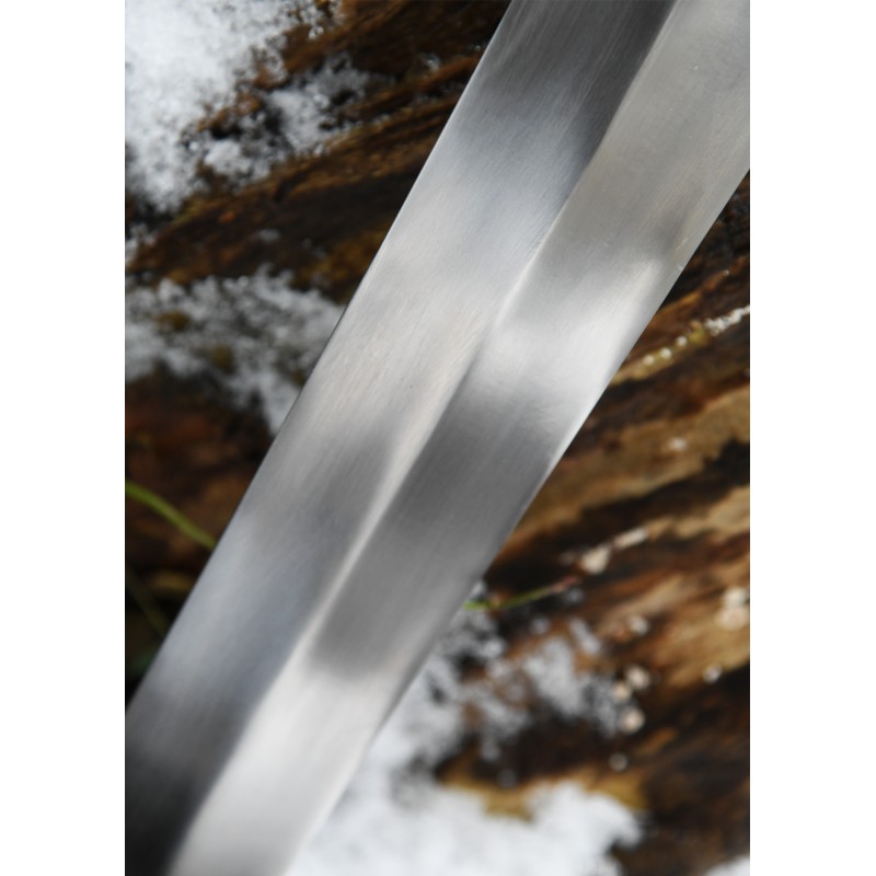 Keltisches Langschwert mit Scheide