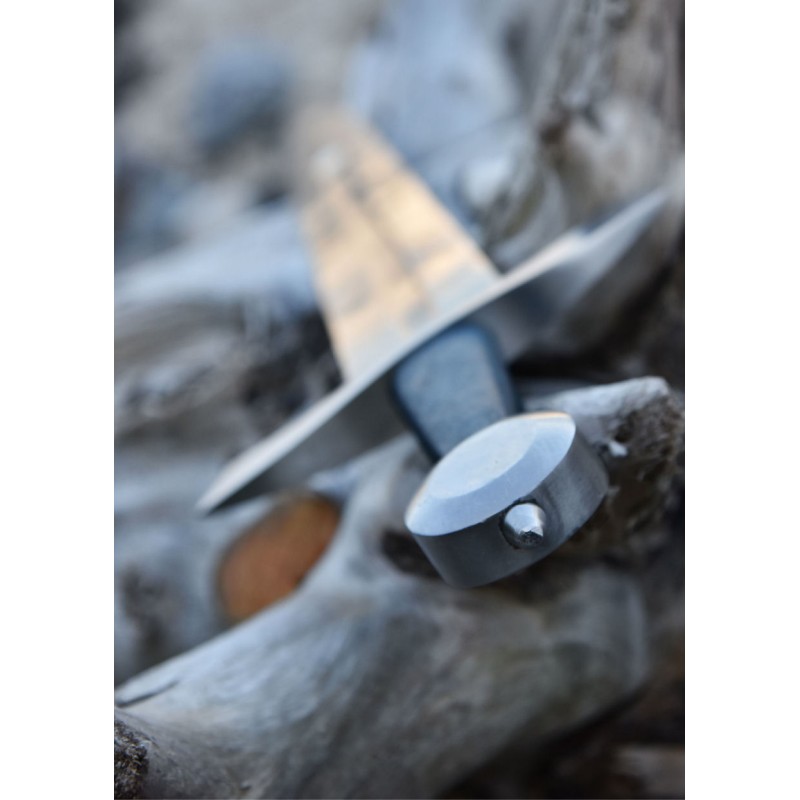 Ritterschwert Neuenburgersee mit Scheide