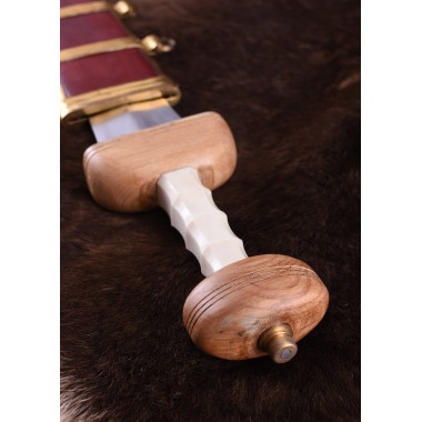 Römischer Gladius Mainz