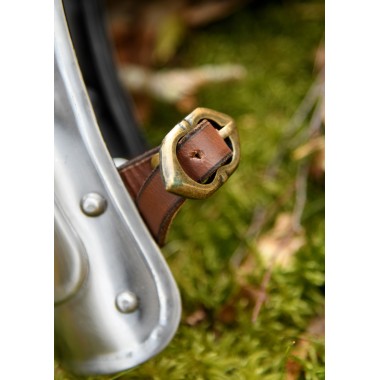 Armschienen aus Stahl