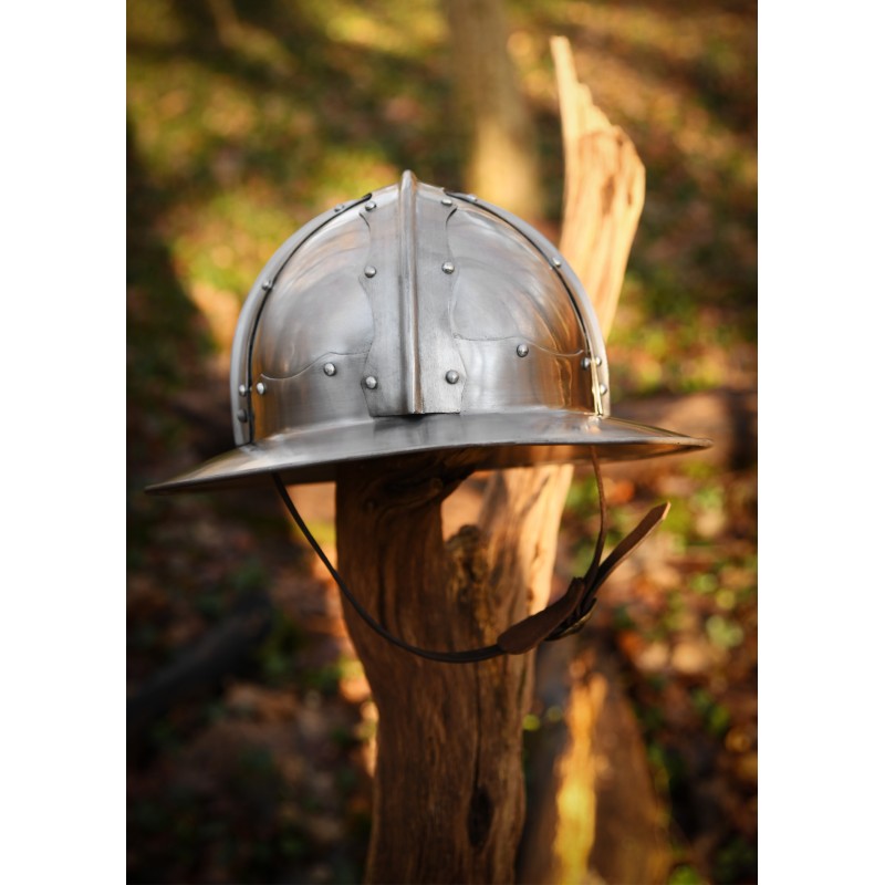 Italienischer Eisenhut