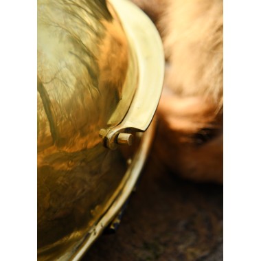 Römerhelm Coolus 'D'