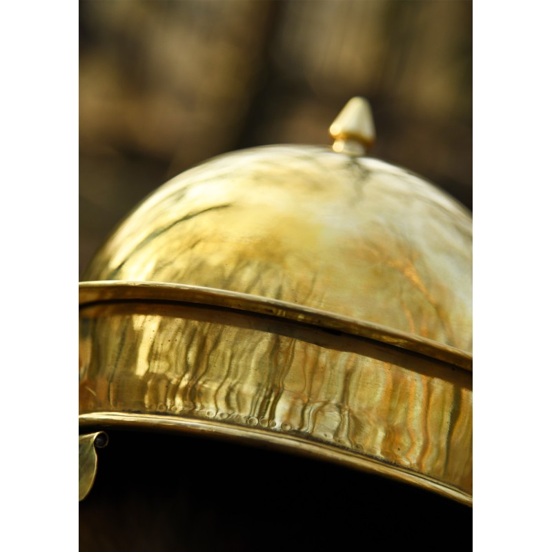 Römerhelm Coolus 'D'