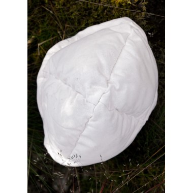 Römische Kavalleriehelm Ribschester