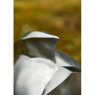 Gladiatoren Helm Maximus