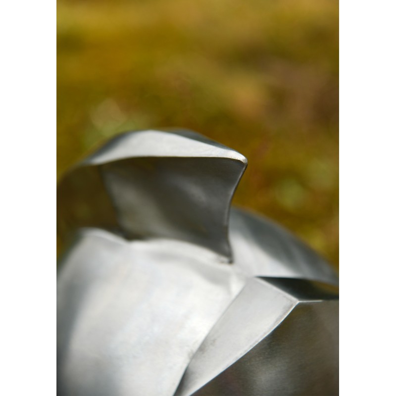 Gladiatoren Helm Maximus