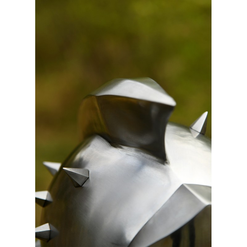 Gladiatorenhelm Maximus