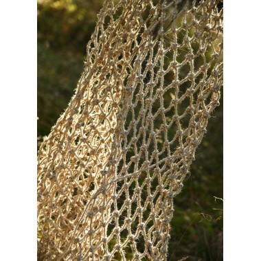 Gladiatoren Netz, sog. Rete