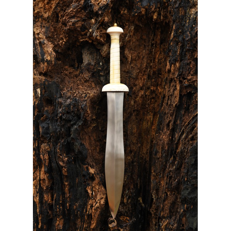 Gladiatorendolch mit Knochengriff