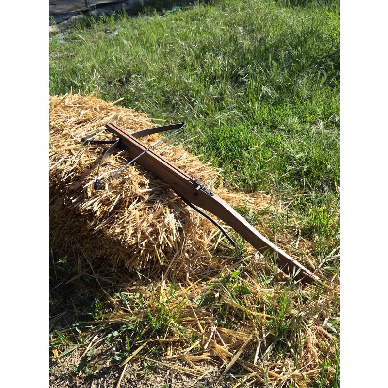Armbrust Funktionale – 30 lbs 