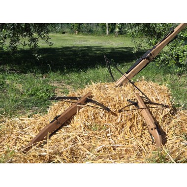 Armbrust Funktionale – 30 lbs 