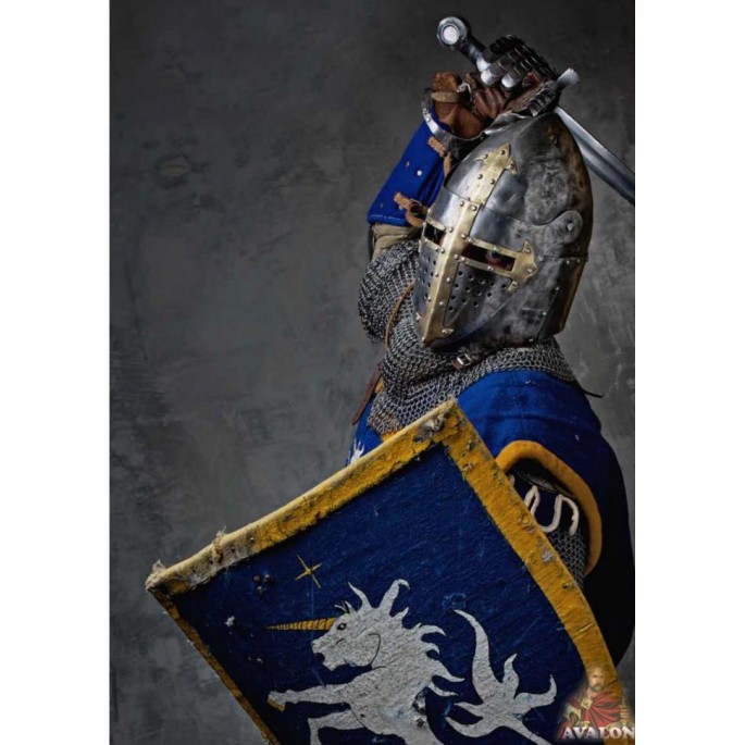 Templerhelm Kampf - Schaukampfhelm